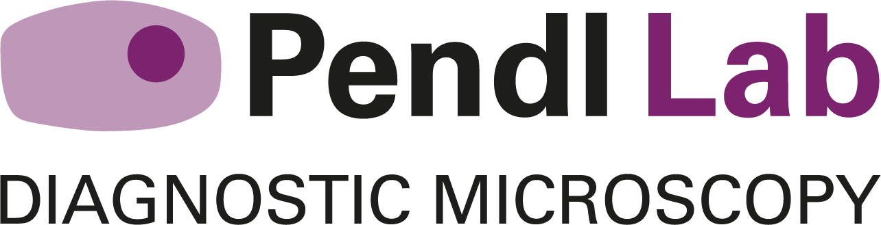 Logo Pendl Lab